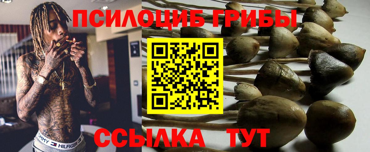 Галлюциногенные грибы GOLDEN TEACHER Ивантеевка